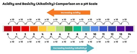 Logarithmic Scale Ph