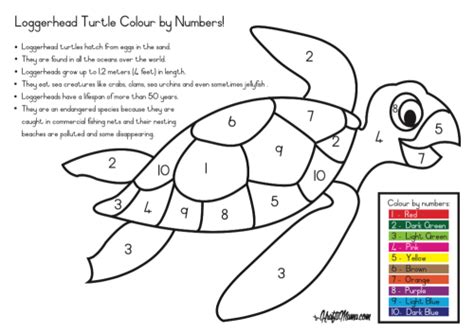 Loggerhead 3Rd Grade Printable Sheets