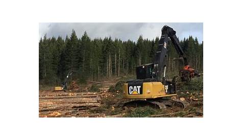 Logging Washington State Timber, Pacific NW WA Loggers, Logging Service