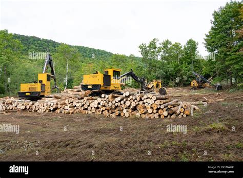 Logging In The Adirondacks