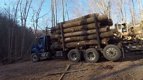 Logging In West Virginia