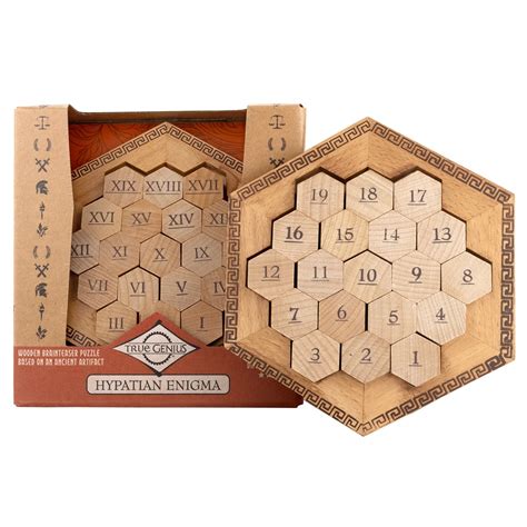 Logic Based Number Placement Puzzle