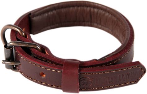 logical leather padded dog collar