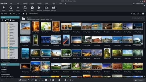 Meilleurs organisateurs de photos pour Windows 11