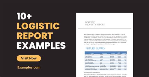 Logistics Report Example