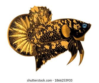 View Harga Ikan Cupang Avatar Gold Background