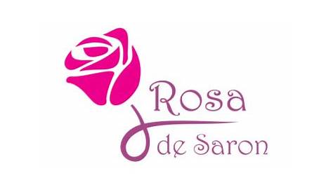 Jovem Jornalista: Banda Rosa de Saron, um fenômeno que não perdeu o