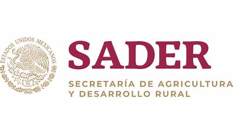 Logo Sader 2019 Servicio Nacional De Inspección Y Certificación De