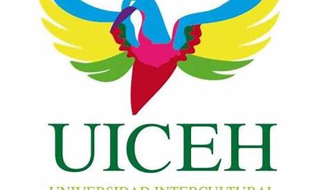 Egresada de la UICEH gana el Premio Noemí Quezada 2020 como mejor tesis