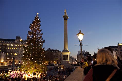 london xmas tree from norway