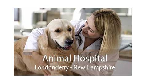 LONDONDERRY ANIMAL CLINIC - 25 Page Rd, Londonderry, New Hampshire