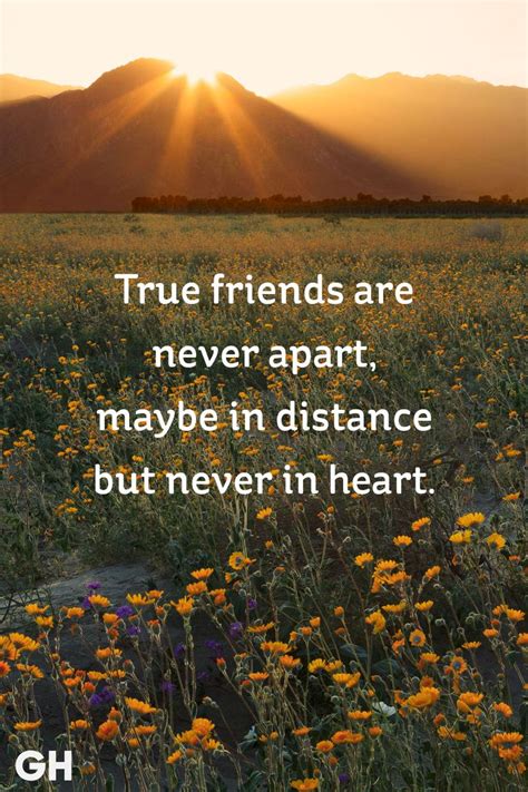 Long Distance Friendship Quotes Short