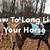 long line exercises for horses