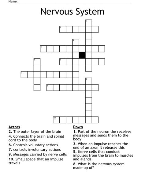 Cranial Nerve Crossword Puzzle WordMint