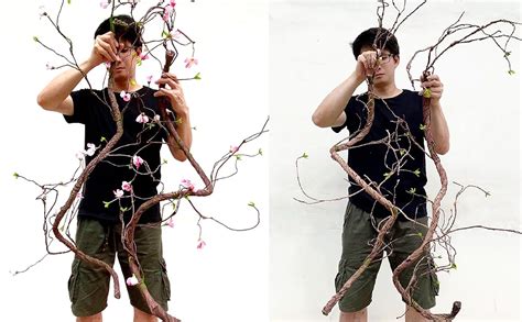 Long Artificial Branches