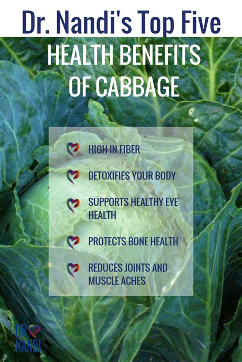 Long Cabbage Benefits