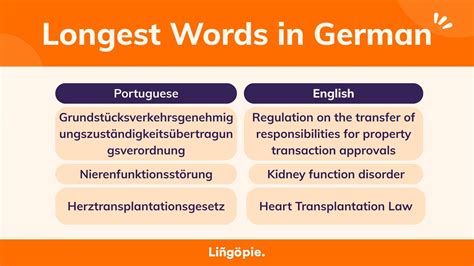 Long German Words Explained