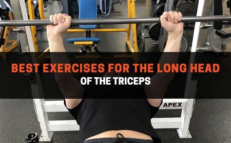 long head tricep exercise