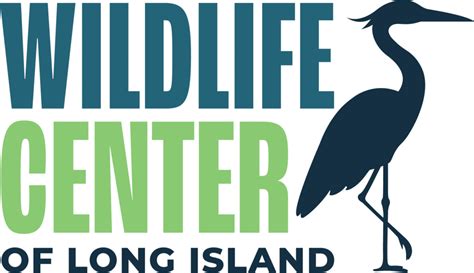 long island wildlife and animal rescue