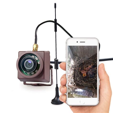 Long Range Wifi Bird Box Camera