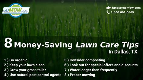long term saving with lawn care