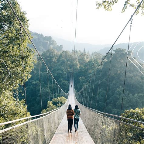 longest suspension bridge in asia