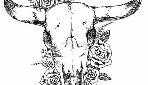 Longhorn Skull Drawing at GetDrawings | Free download
