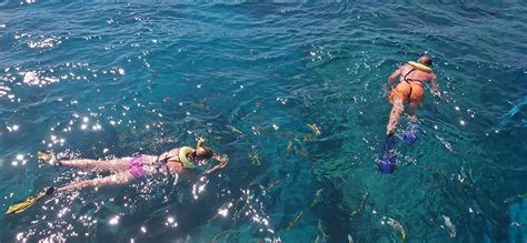 Looe Key Snorkeling