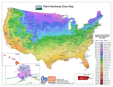 loofah growing zones map