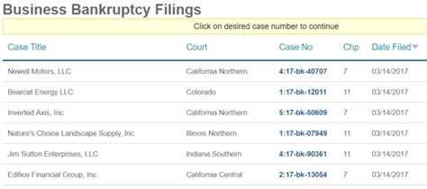 look up bankruptcy cases