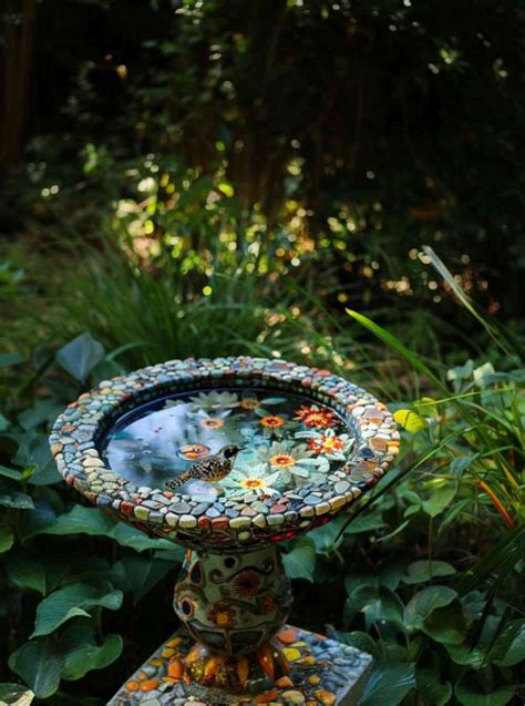 Looking For A Bird Bath