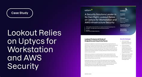 lookout for Security Code Auditors