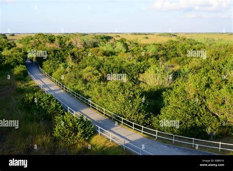 Loop Road Everglades Closed