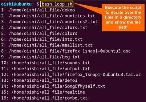 Loop Through Files In Directory Bash Script