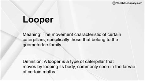 Looper Meaning
