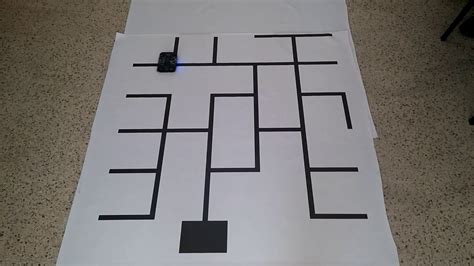 loops and traps maze