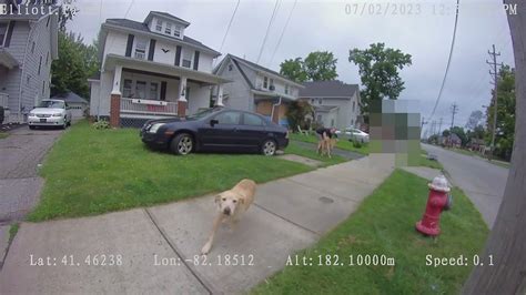 lorain police officer shooting dog