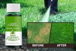 Lordco Grass Spray
