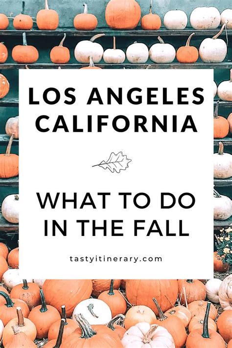 Los Angeles Fall Activities Things To Do in the Fall in LA Autumn