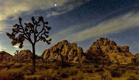 Complete Stargazing Joshua Tree Guide - Where to Go, Best Times, Gear