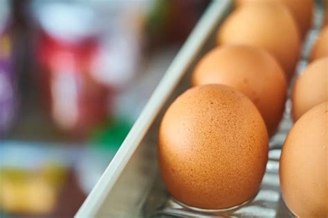 Huevos incubables ¿cómo reducir pérdidas en los nacimientos?