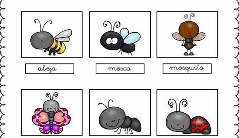 Dibujos Para Colorear De Insectos Para Ninos - Dibujos De Ninos