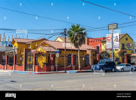 Best Kept Secrets of Los Algodones Mexico