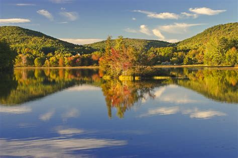 +14 Los Bosques De Viena