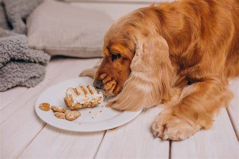 3 razones muy frescas para darle fresas a tu perrito