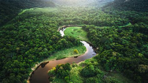 los rios mas grandes del mundo