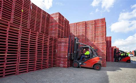 loscam pallet hire