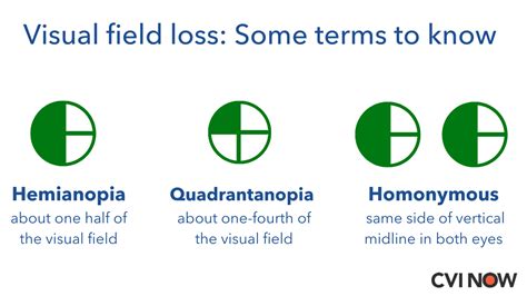 Loss Vision Lower Left Quadrant