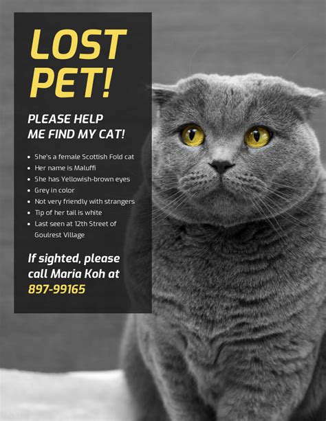 Lost pet flyer template Lost cat, Lost cat poster, Losing a pet