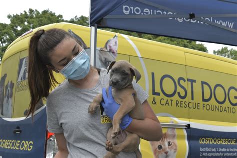 lost dog and cats animal rescue va